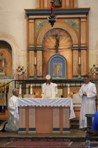 St Francis 17