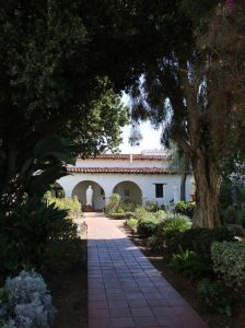 St Francis 8
